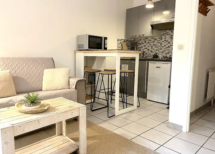 Joli Avec Jardin Apartament